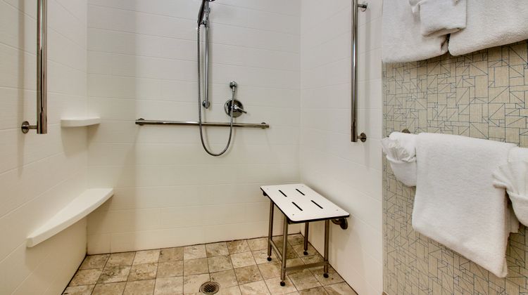 Holiday Inn Express Hotel & Suites Room