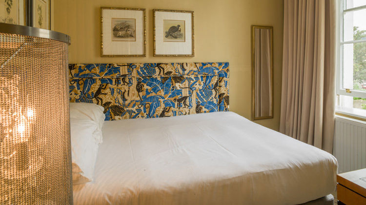 The Bird Room