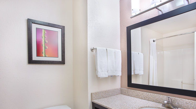 Holiday Inn Express Hotel & Suites Room