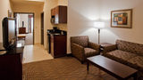 Holiday Inn Express Hotel & Suites Buda Suite