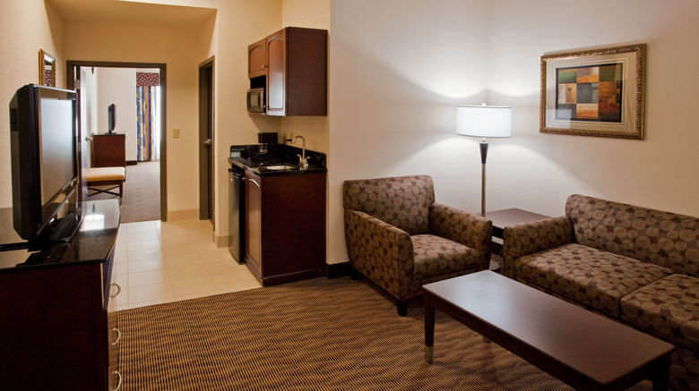 <b>Holiday Inn Express Hotel & Suites Buda Suite</b>. Images powered by <a href="https://www.leonardoworldwide.com/" title="Leonardo Worldwide" target="_blank">Leonardo</a>.