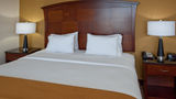 Holiday Inn Express Hotel & Suites Buda Room