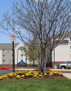 Candlewood Suites Dulles