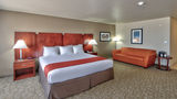 <b>Holiday Inn Roswell Room</b>. Images powered by <a href="https://www.leonardoworldwide.com/" title="Leonardo Worldwide" target="_blank">Leonardo</a>.
