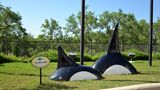 Staybridge Suites San Antonio Seaworld Exterior