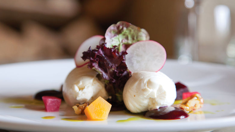 <b>Dartington Hall Hotel Restaurant</b>. Images powered by <a href="https://www.leonardoworldwide.com/" title="Leonardo Worldwide" target="_blank">Leonardo</a>.