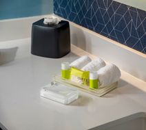Holiday Inn Suites Aguascalientes Room