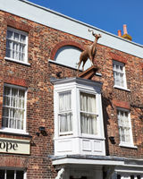 The Antelope