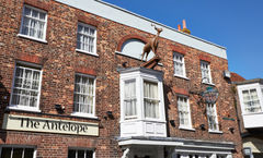 The Antelope