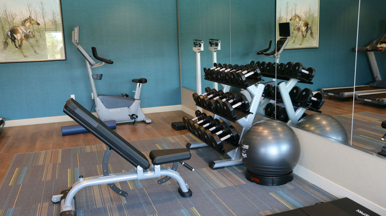 <b>Holiday Inn Express/Stes Hendersonville Health Club</b>. Images powered by <a href="https://www.leonardoworldwide.com/" title="Leonardo Worldwide" target="_blank">Leonardo</a>.