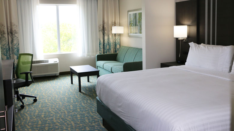 <b>Holiday Inn Express/Stes Hendersonville Room</b>. Images powered by <a href="https://www.leonardoworldwide.com/" title="Leonardo Worldwide" target="_blank">Leonardo</a>.