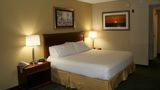Holiday Inn Express Hotel & Suites Room