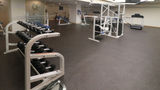 <b>Holiday Inn Ciudad de Mexico Trade Ctr Health Club</b>. Images powered by <a href="https://www.leonardoworldwide.com/" title="Leonardo Worldwide" target="_blank">Leonardo</a>.