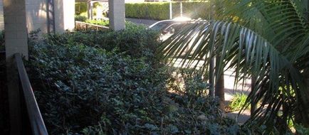 Francis Phillip Motor Inn & The Lodge Exterior