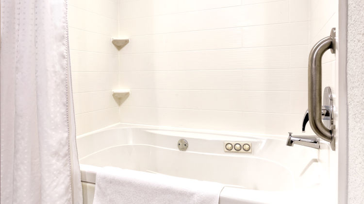 Holiday Inn Express Hotel & Suites Room