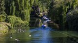 <b>Monkey Island Estate Exterior</b>. Images powered by <a href="https://www.leonardoworldwide.com/" title="Leonardo Worldwide" target="_blank">Leonardo</a>.