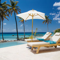 The Liming