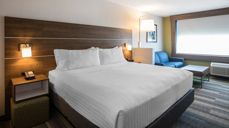 <b>Holiday Inn Express & Suites Ludington Room</b>. Images powered by <a href="https://www.leonardoworldwide.com/" title="Leonardo Worldwide" target="_blank">Leonardo</a>.