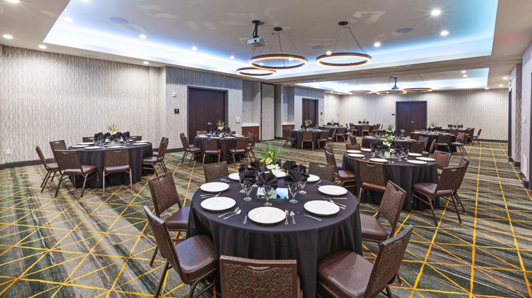 Holiday Inn & Suites McKinney-Fairview Ballroom