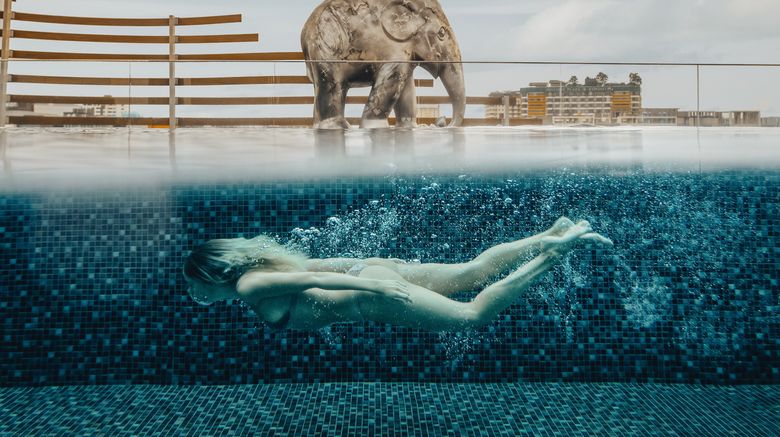 <b>AMANOR Hotel Chiang Mai Pool</b>. Images powered by <a href="https://www.leonardoworldwide.com/" title="Leonardo Worldwide" target="_blank">Leonardo</a>.