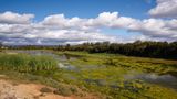 Quest Mawson Lakes Other