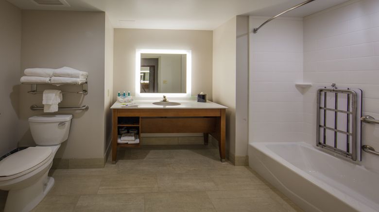 <b>Holiday Inn Express Gatlinburg Downtown Room</b>. Images powered by <a href="https://www.leonardoworldwide.com/" title="Leonardo Worldwide" target="_blank">Leonardo</a>.