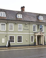 The Swan