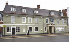 The Swan