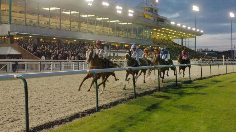 Holiday Inn Wolverhampton Racecourse Other