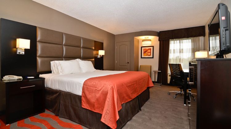 Holiday Inn Express Room