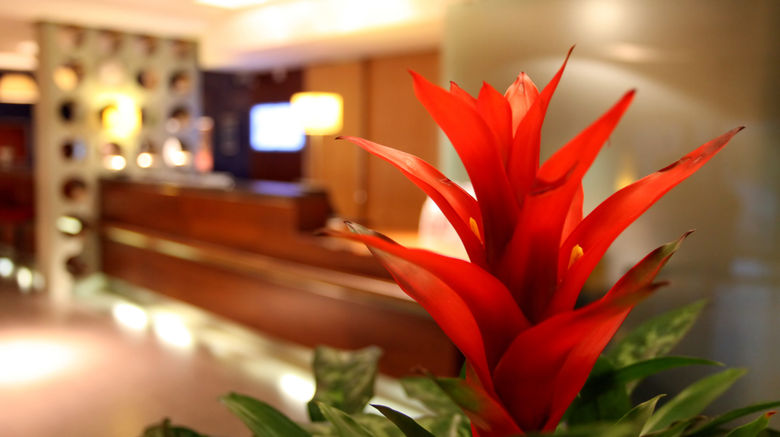 <b>Holiday Inn Express Southampton M27 Jct7 Lobby</b>. Images powered by <a href="https://www.leonardoworldwide.com/" title="Leonardo Worldwide" target="_blank">Leonardo</a>.