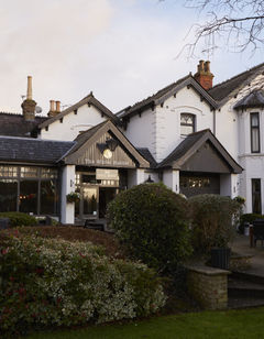 The White Rabbit Hotel