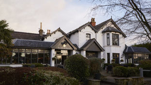 The White Rabbit Hotel