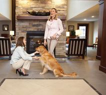 Staybridge Suites Rochester-Commerce Dr Lobby