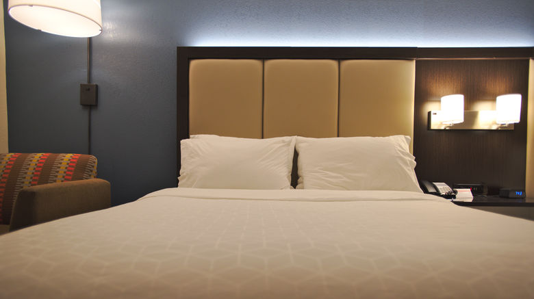 <b>Holiday Inn Express Anderson-I-85 Room</b>. Images powered by <a href="https://www.leonardoworldwide.com/" title="Leonardo Worldwide" target="_blank">Leonardo</a>.