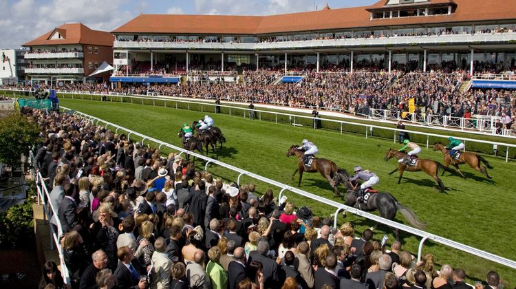 Holiday Inn Express Racecourse Recreation