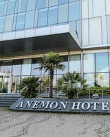 Anemon Samsun