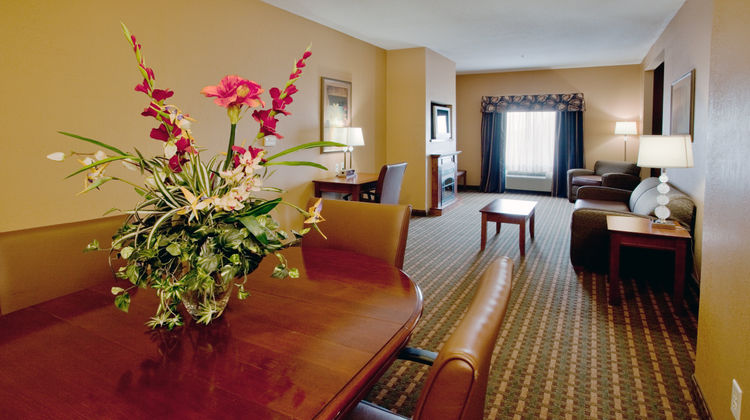 Holiday Inn Express Hotel & Suites Room