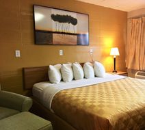 Red Carpet Inn Duncannon Room