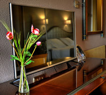 Hotel Beatriz Room