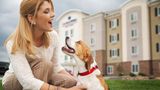 Candlewood Suites Brighton Exterior