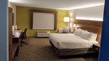 <b>Holiday Inn Express Hotel & Suites Room</b>. Images powered by <a href="https://www.leonardoworldwide.com/" title="Leonardo Worldwide" target="_blank">Leonardo</a>.