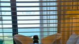 Crowne Plaza Abu Dhabi-Yas Island Room