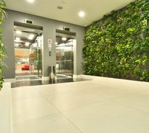 Holiday Inn Express Asuncion Aviadores Lobby