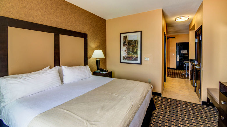 <b>Holiday Inn Arlington-Northeast Suite</b>. Images powered by <a href="https://www.leonardoworldwide.com/" title="Leonardo Worldwide" target="_blank">Leonardo</a>.