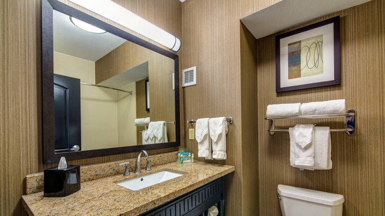 Holiday Inn Arlington-Northeast Room