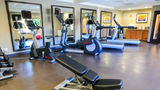 <b>Staybridge Suites Silicon Valley Health Club</b>. Images powered by <a href="https://www.leonardoworldwide.com/" title="Leonardo Worldwide" target="_blank">Leonardo</a>.