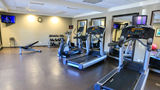<b>Staybridge Suites Silicon Valley Health Club</b>. Images powered by <a href="https://www.leonardoworldwide.com/" title="Leonardo Worldwide" target="_blank">Leonardo</a>.