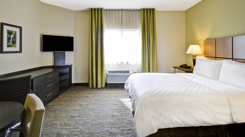<b>Candlewood Suites Smyrna-Nashville Room</b>. Images powered by <a href="https://www.leonardoworldwide.com/" title="Leonardo Worldwide" target="_blank">Leonardo</a>.
