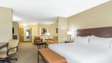 Holiday Inn Express Nogales Suite